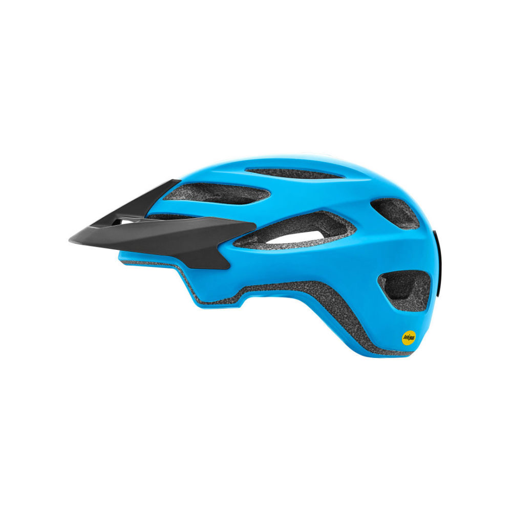 giant roost helmet mips