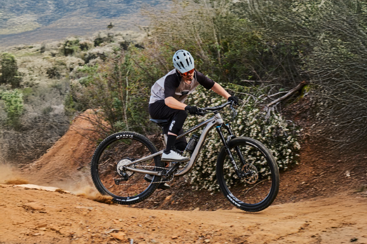 Giant Trance 2 mountain bike in metallic